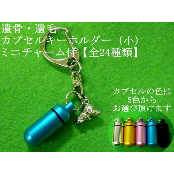 画像1: 遺骨・遺毛 カプセルキーホルダー 24種類から選べるミニチャーム付（サイズ小） (1)