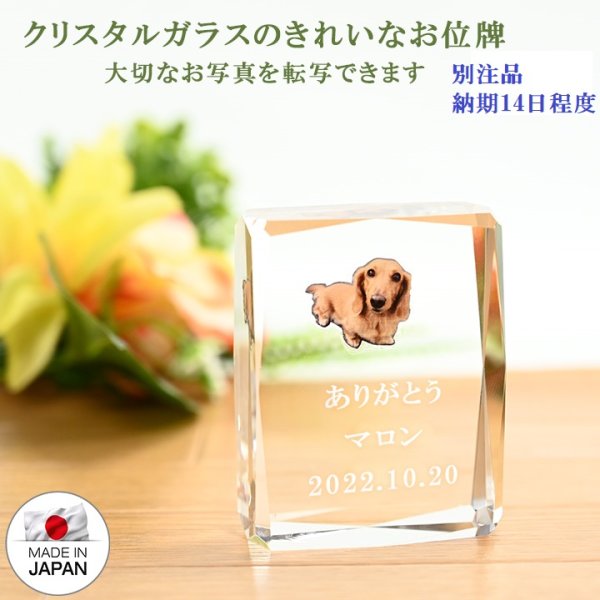 画像1: ペット位牌　クリスタル　カラー写真転写＆文字レーザー彫刻　　 (1)